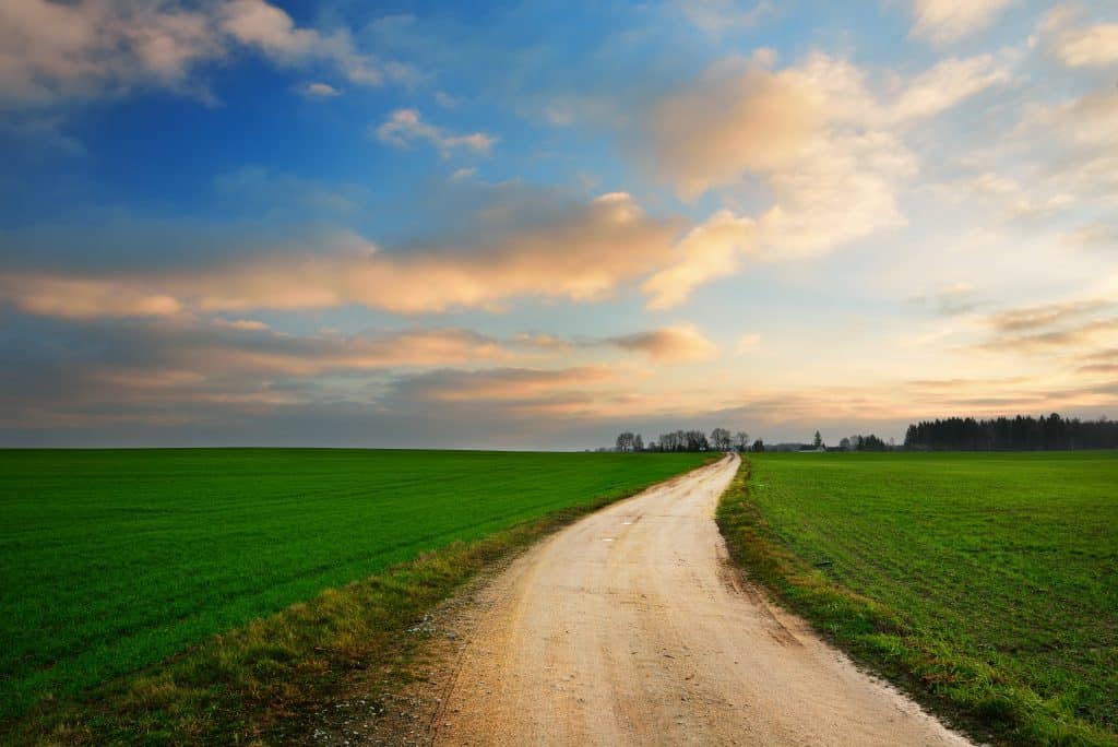 Moving ahead on the path of Life - open dirt road in between grassy fields - where will you choose to go this year?